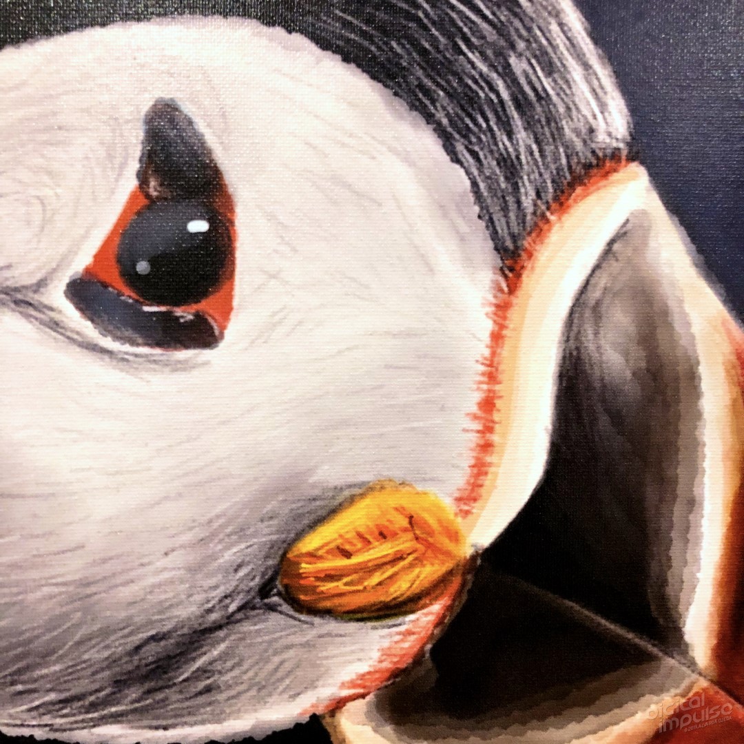 Puffin - 30x45cm Canvas Print - Detail preview image