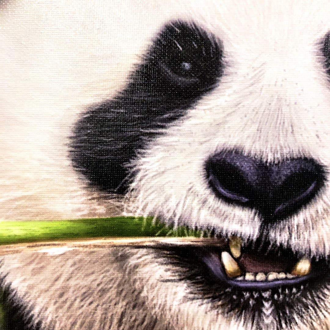 Munching Panda - 30x45cm Canvas Print - Detail preview image