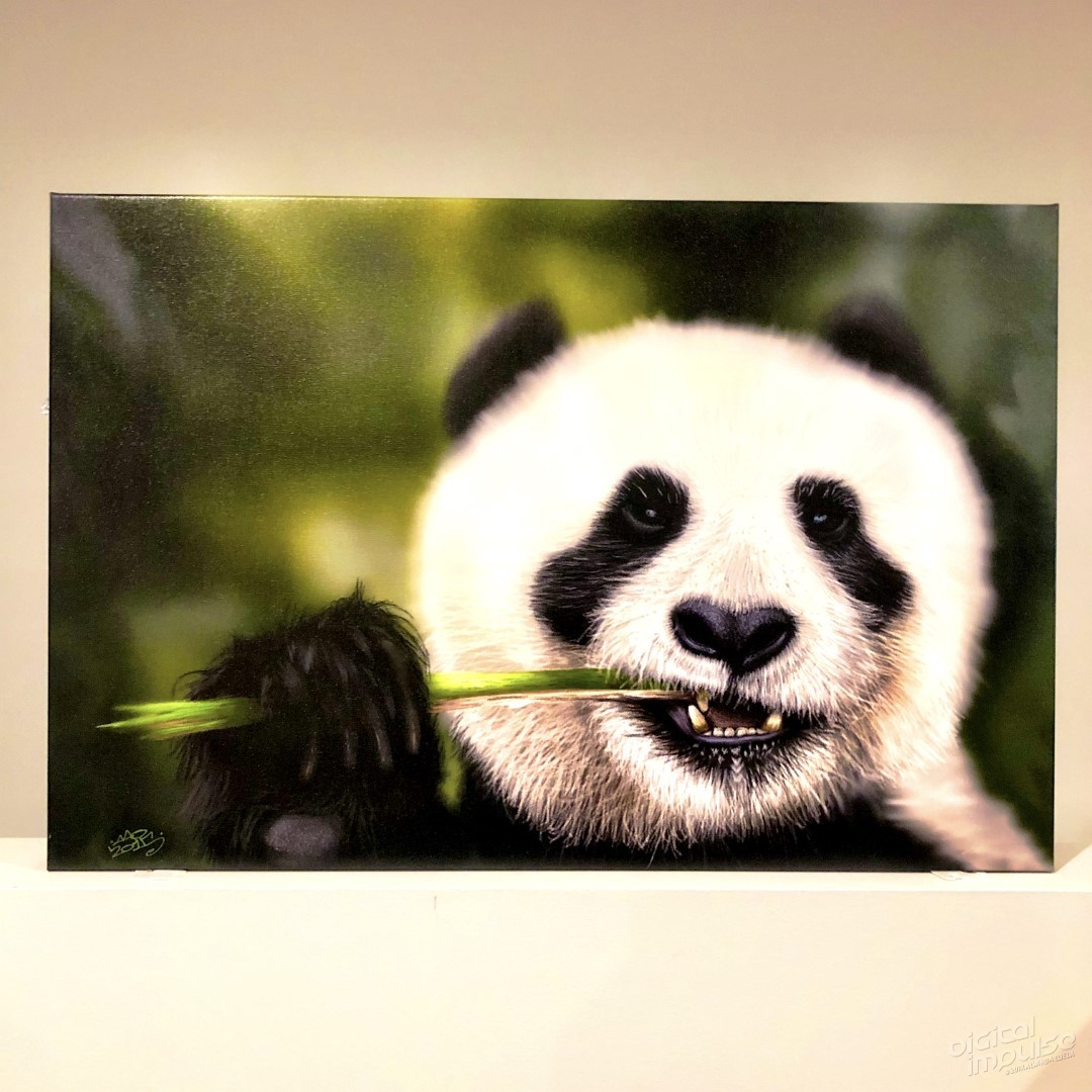 Munching Panda - 50x75cm Canvas Print