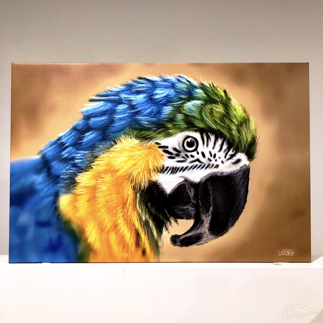 Macaw - 50x75cm Canvas Print preview image