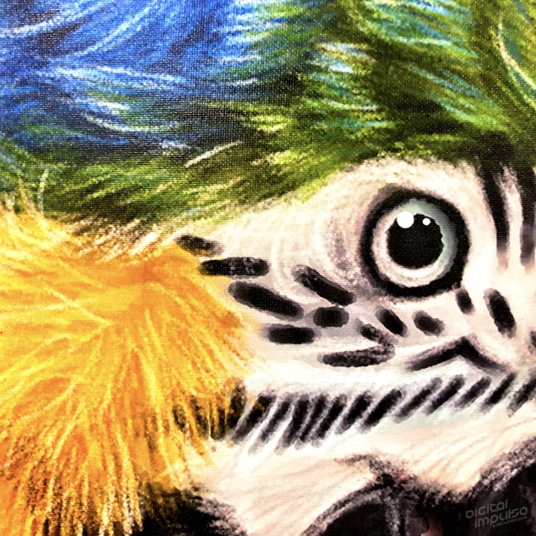 Macaw - 50x75cm Canvas Print - Detail preview image