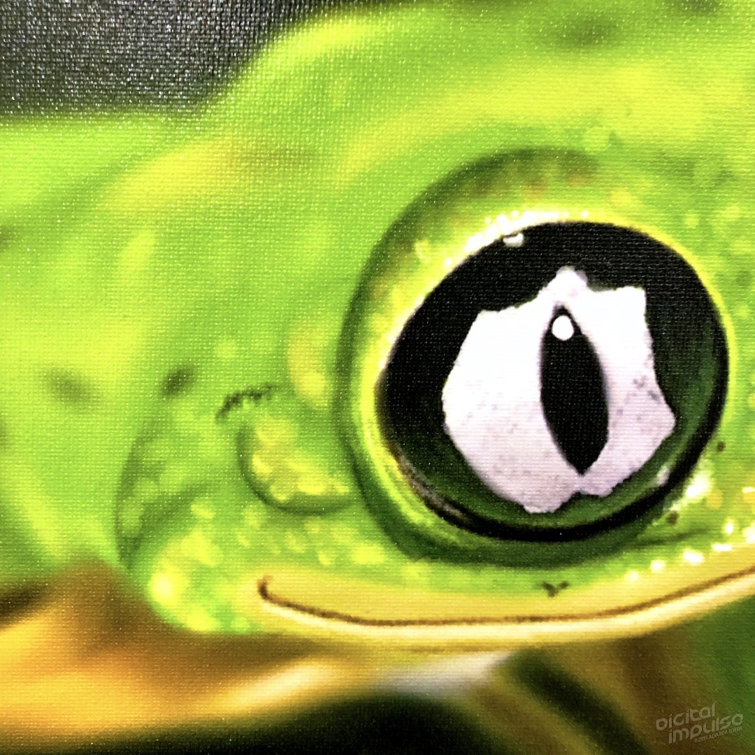 Lemur Leaf Frog - 50x75cm Canvas Print - Detail preview image