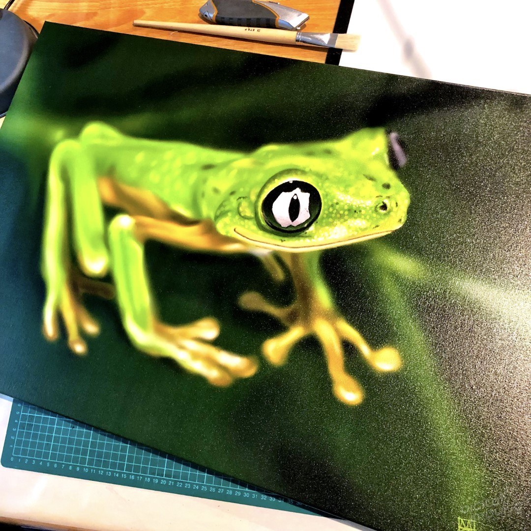 Lemur Leaf Frog - 50x75cm Canvas Print - Actual Size preview image