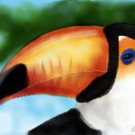 Toucan image