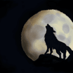 Howl image