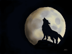 Howl image