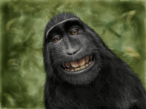 Macaca Nigra (Black Crested Macaque) image
