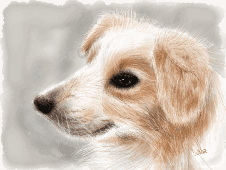 Max image