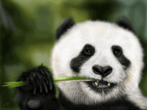 Munching Panda image