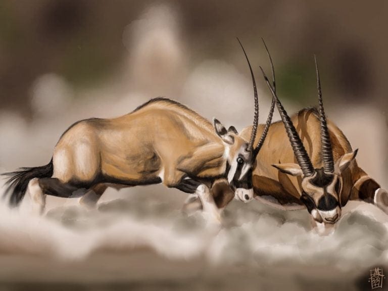 Scimitar-Horned Oryx Duel image