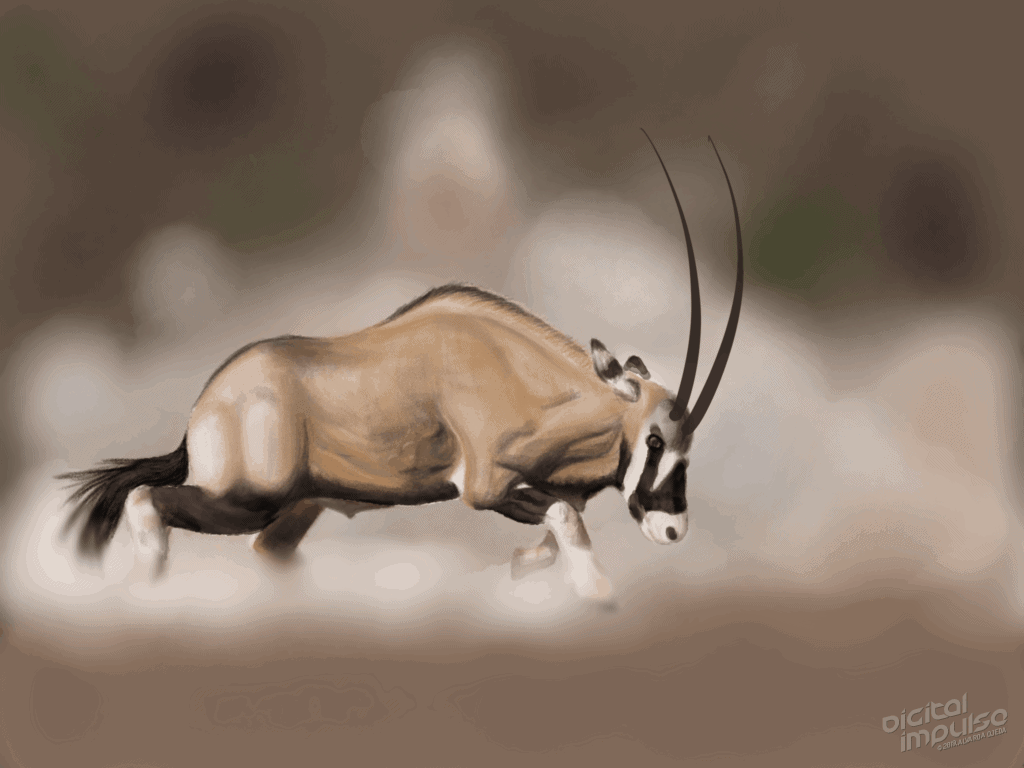 Scimitar-Horned Oryx Duel 004 Image
