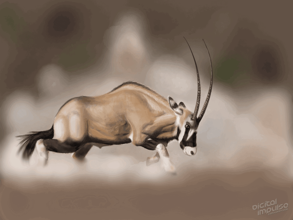 Scimitar-Horned Oryx Duel 005 Image