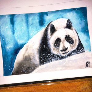 Panda Playing in the Snow - Instagram Image 01