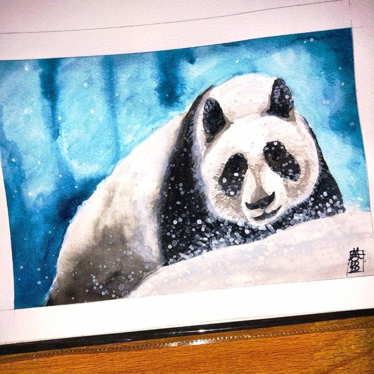 Panda Playing in the Snow - Instagram Image 01