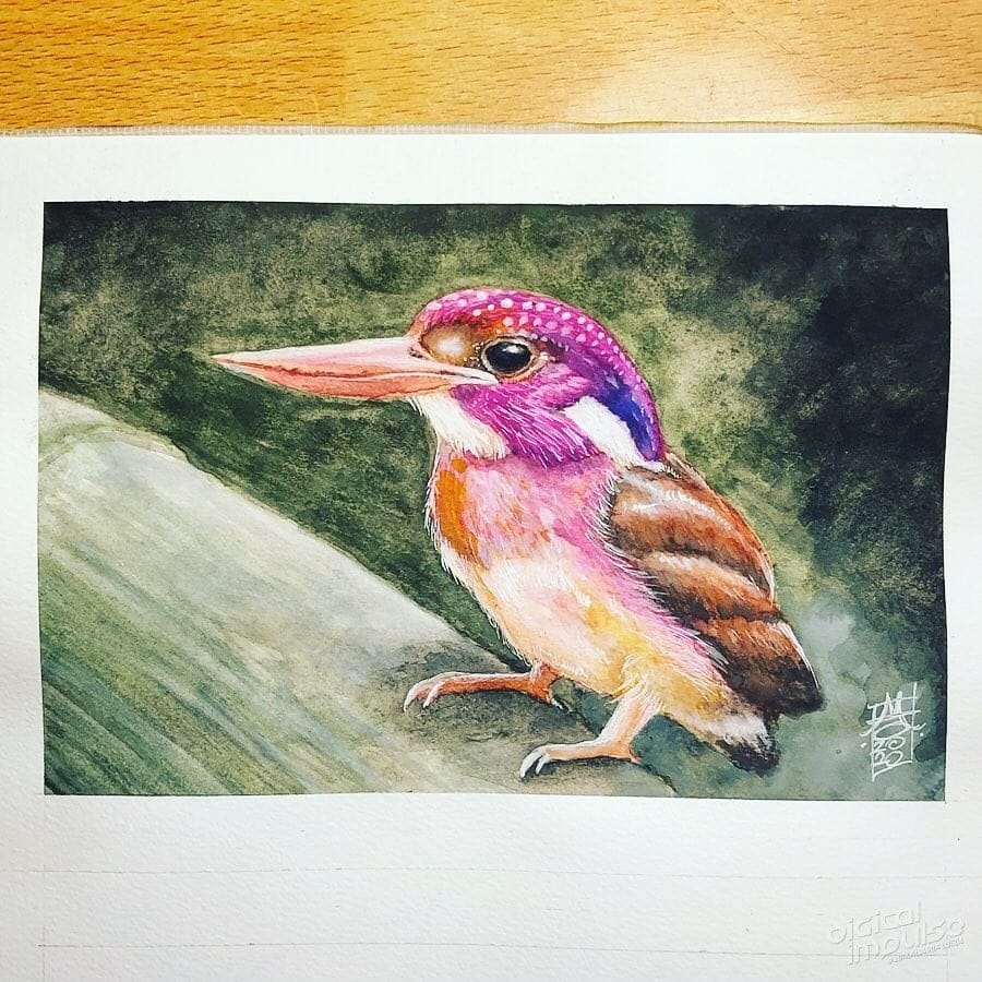 Dwarf Kingfisher Preview 001 image