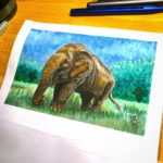 Asian Elephant - 001 image