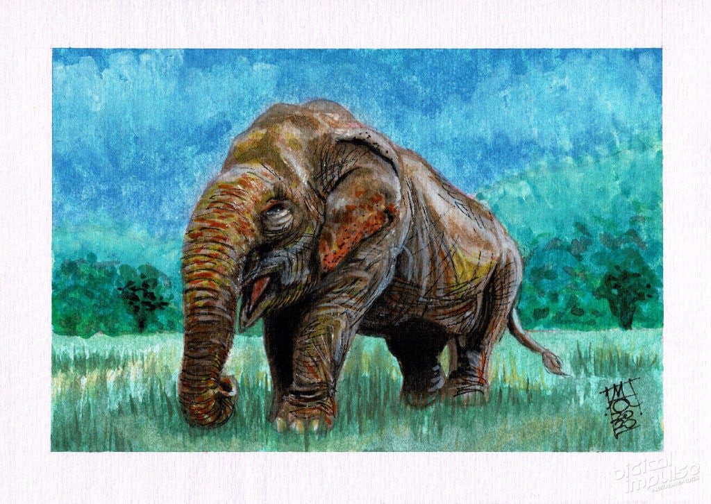 Asian Elephant Watercolor image