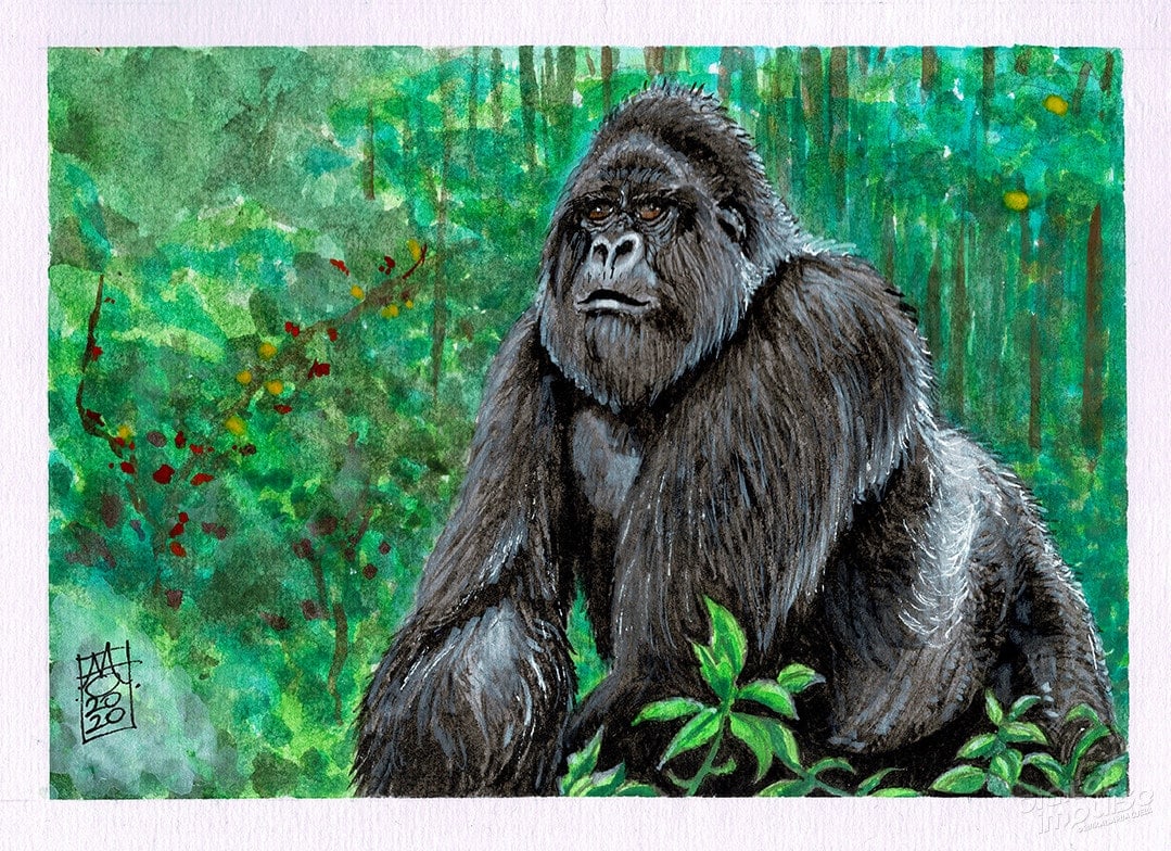 Silverback Gorilla Watercolor Preview image