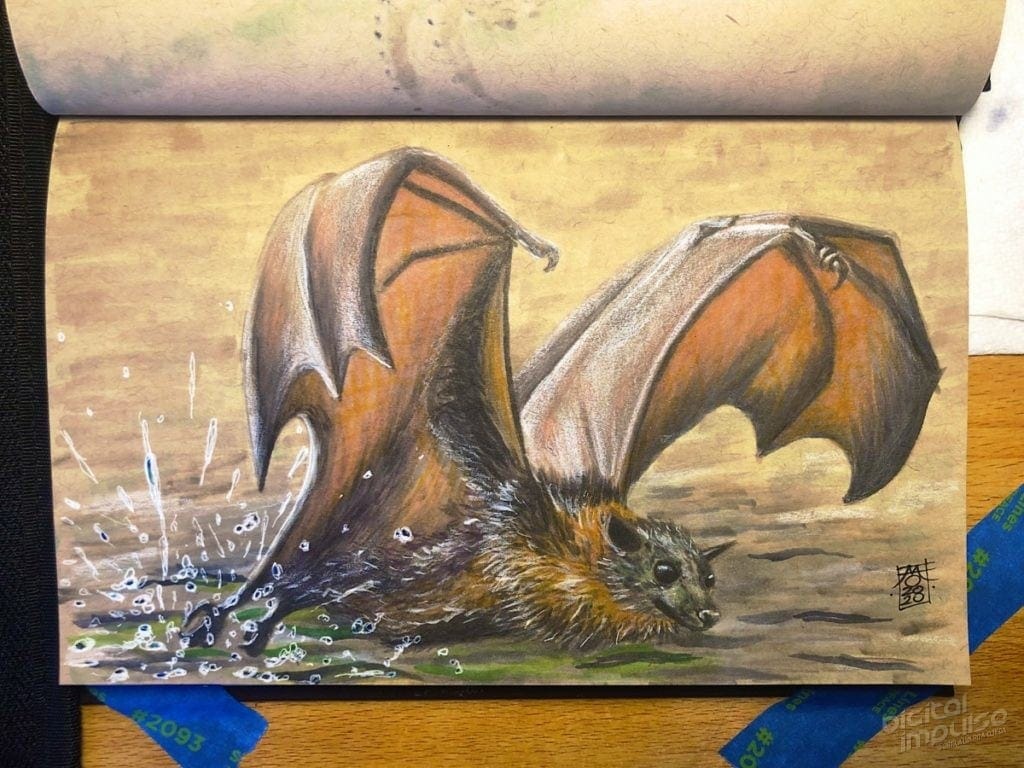 Australian Flying Fox - 001 image
