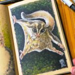 Australian Sugar Glider Copic Marker Illustration preview image