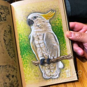 Sulphur Crested Cockatoo Copic Marker Illustration preview image