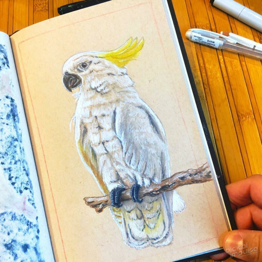 Sulphur Crested Cockatoo - Process Shot - Highlighting & Detailing preview image