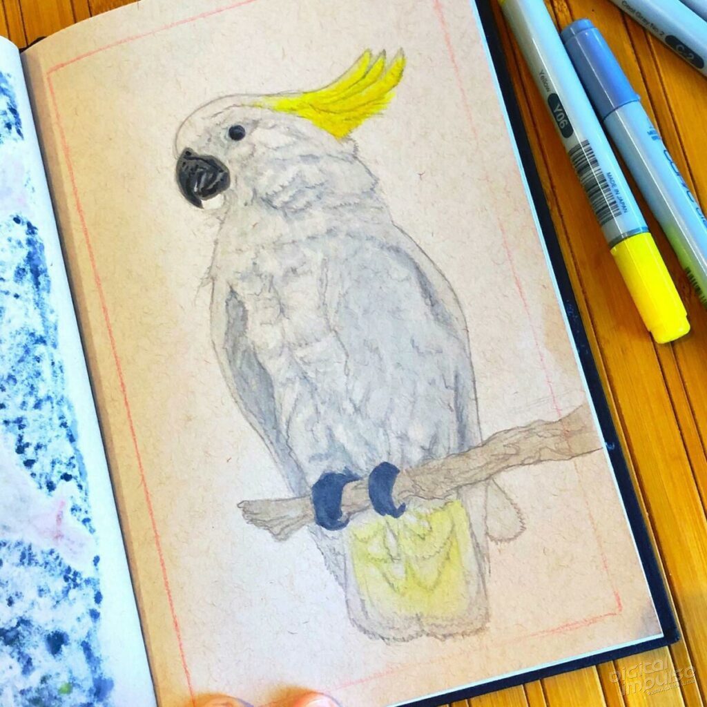 Sulphur Crested Cockatoo - Process Shot - Shading & Detailing preview image
