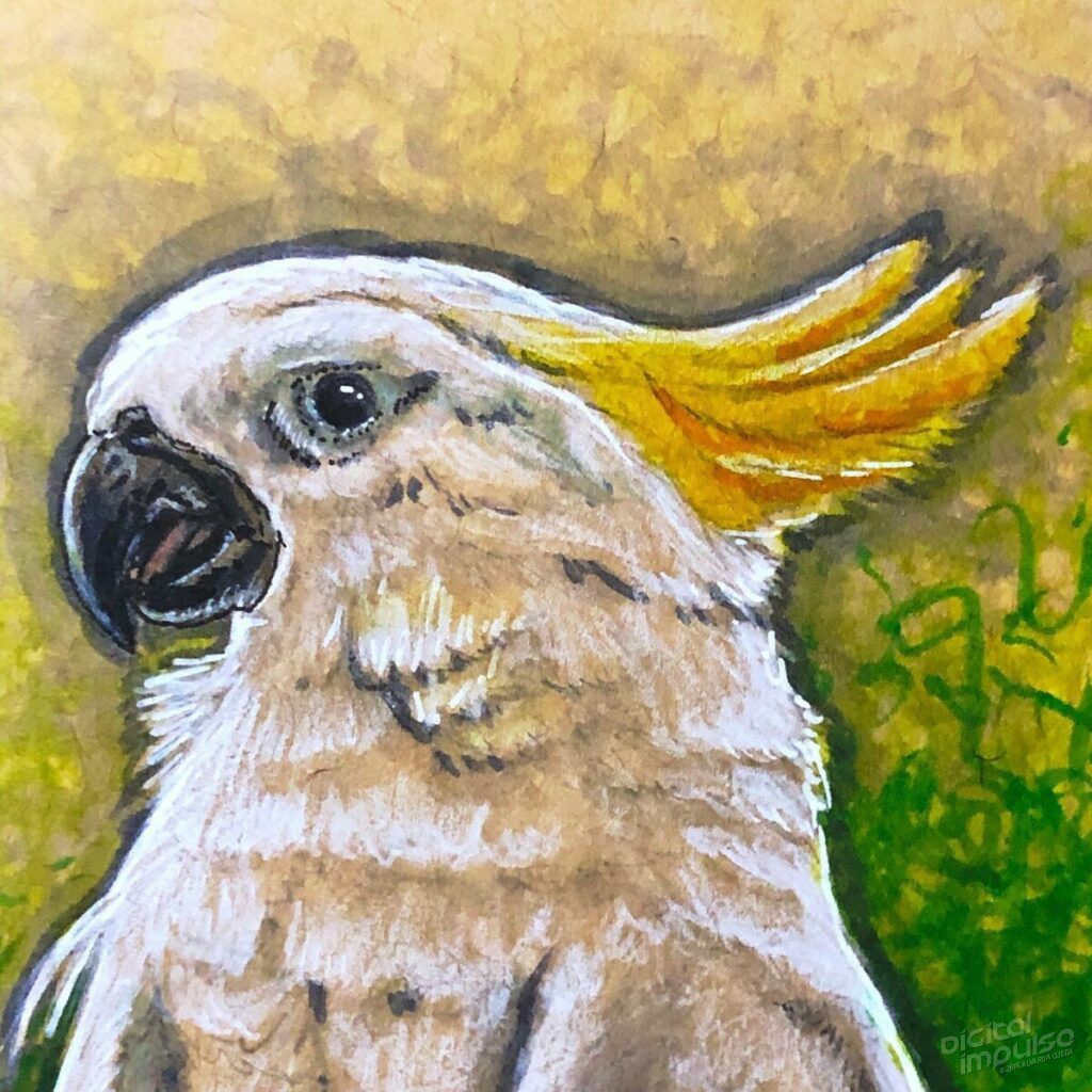 Sulphur Crested Cockatoo - Head Detail preview image