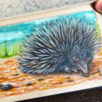 Australian Echidna Copic Marker Illustration preview image