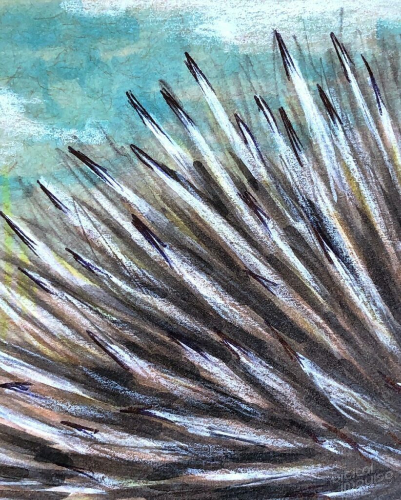 Australian Echidna Illustration - Spines detail preview image