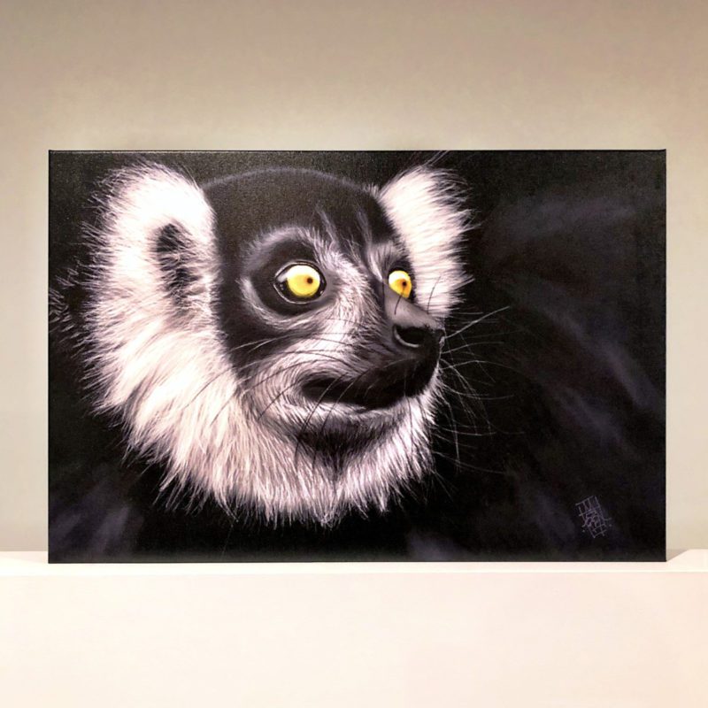 Black Lemur 50x75 Canvas Print preview image