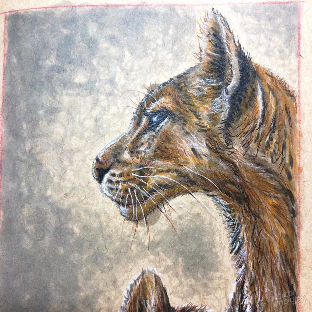 Puma Mother & Cub - Detail 01 preview image