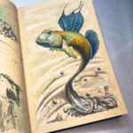 Mudskipper Sketchbook Illustration Preview 01 image