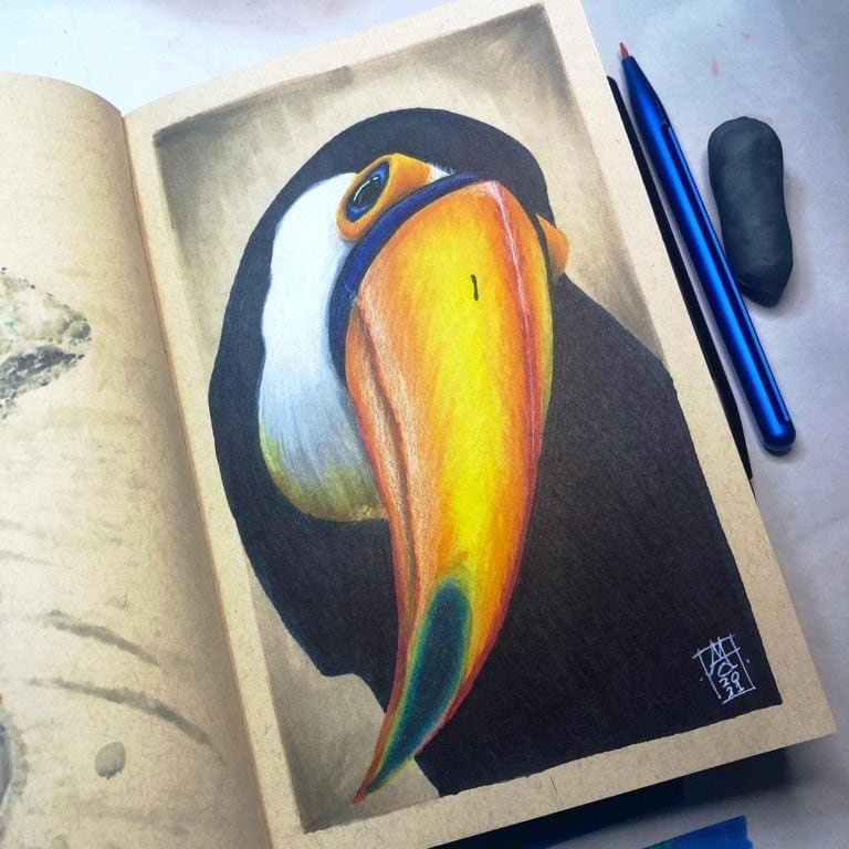 Toucan Illustration 01 Preview image