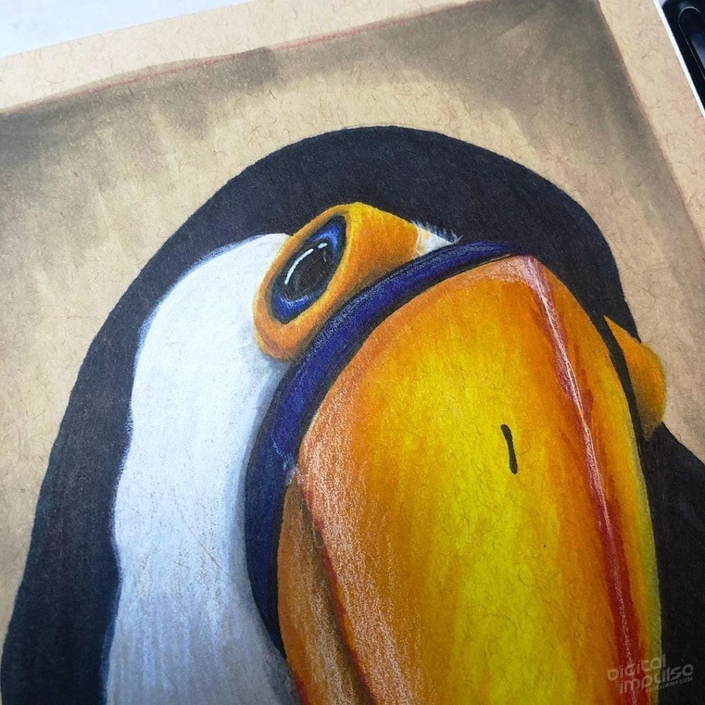 Toucan Illustration 01 Preview image