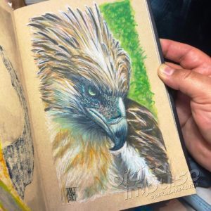 Philippine Eagle Illustration Preview image