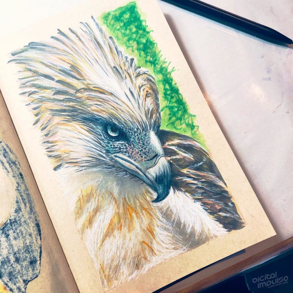 Philippine Eagle Illustration Preview image - 007