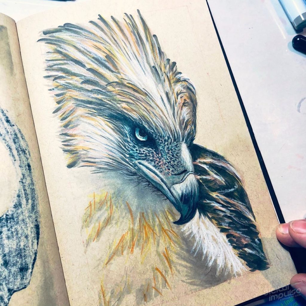 Philippine Eagle Illustration Preview image - 006