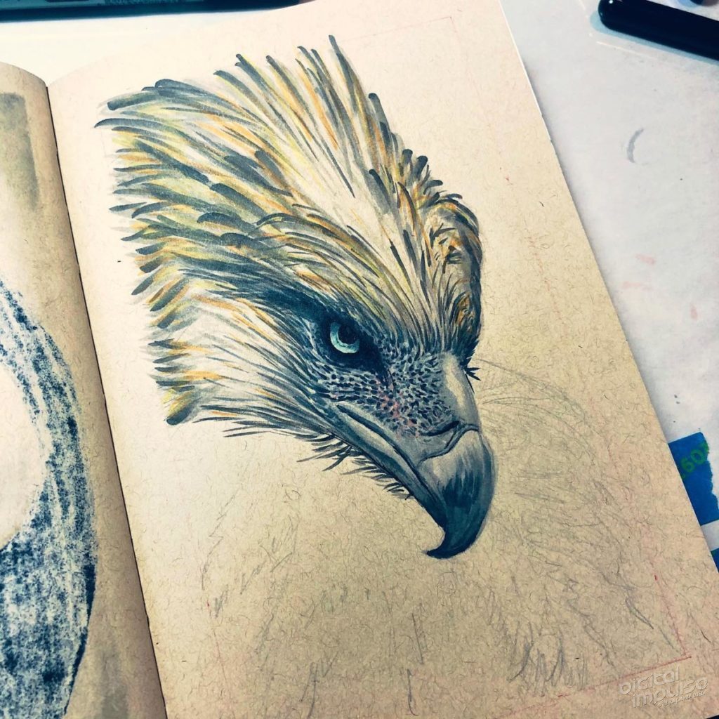 Philippine Eagle Illustration Preview image - 005