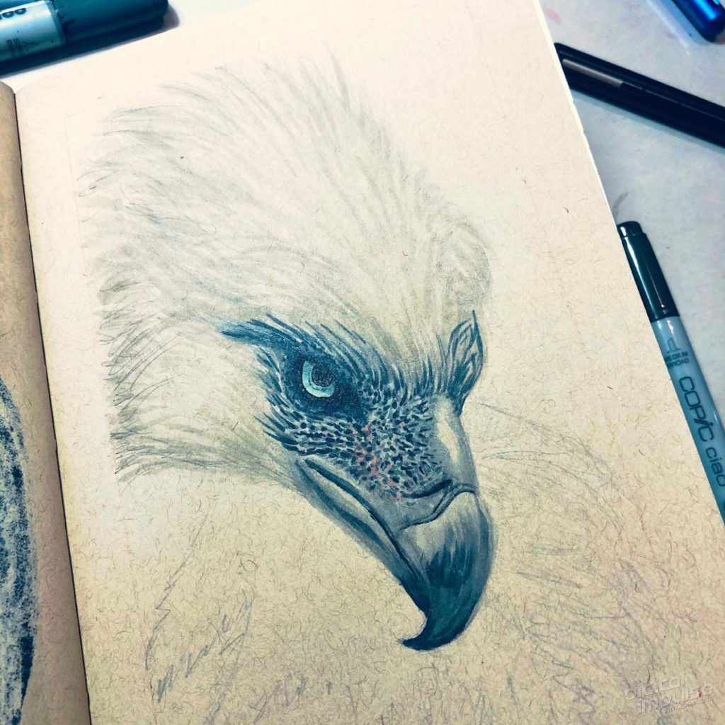 Philippine Eagle Illustration Preview image - 004