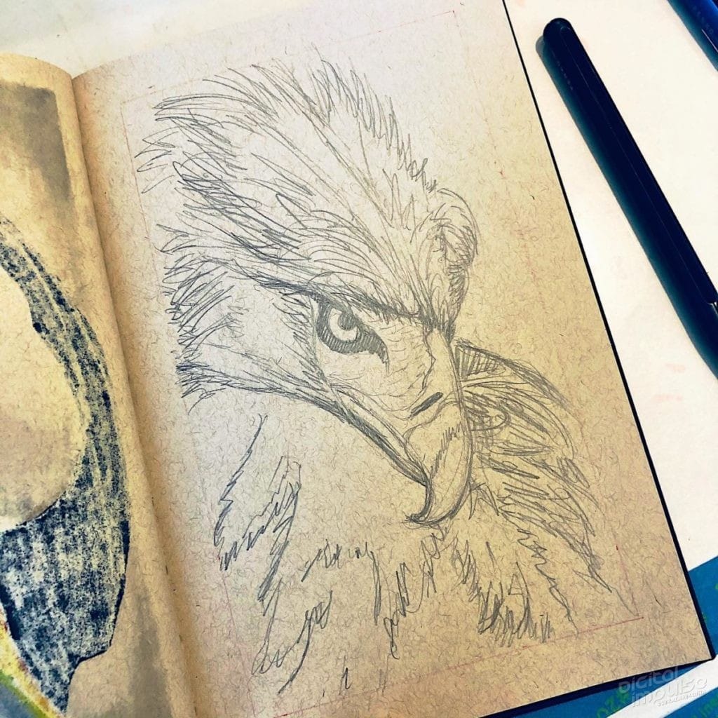 Philippine Eagle Illustration Preview image - 001