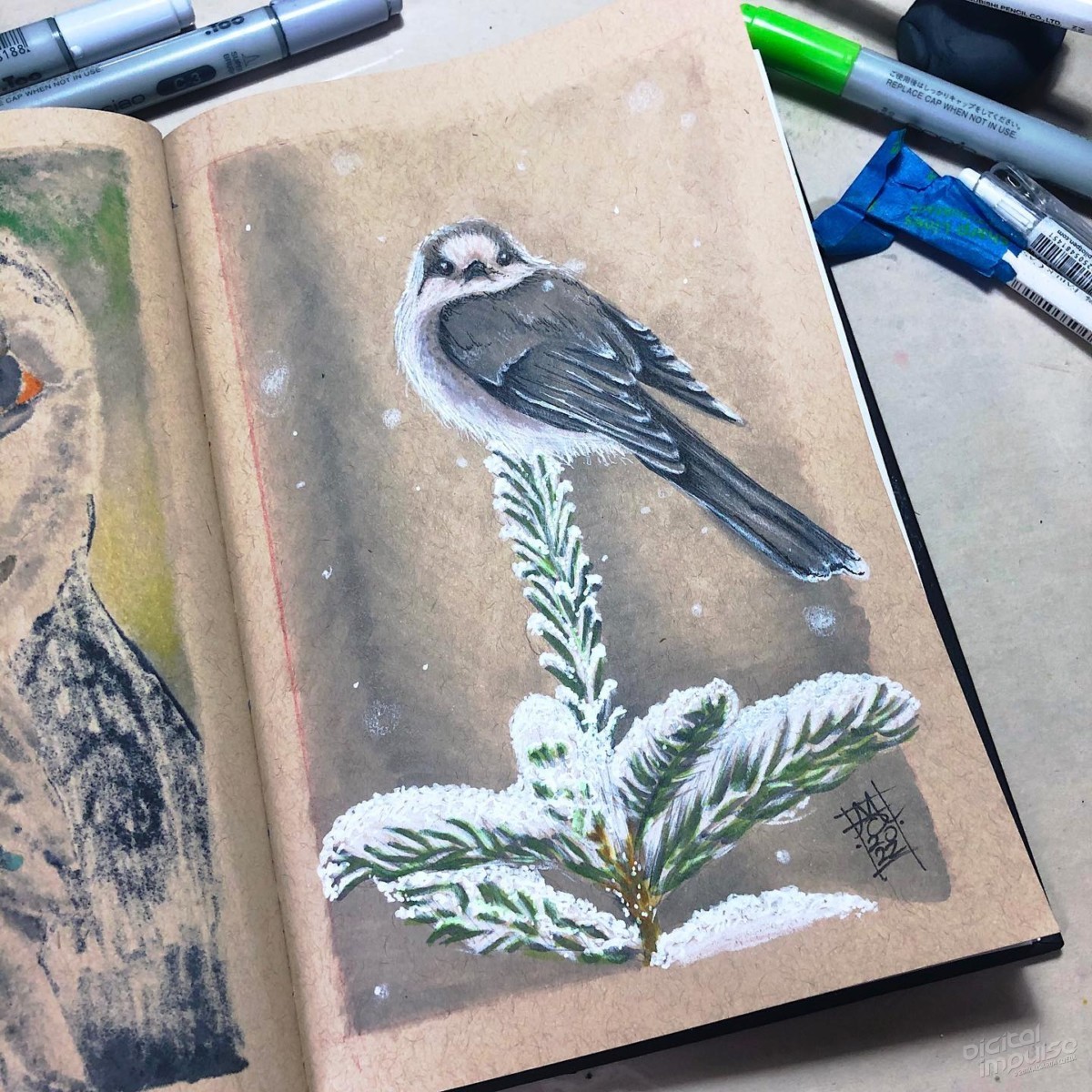 Canada Jay - 02 preview image