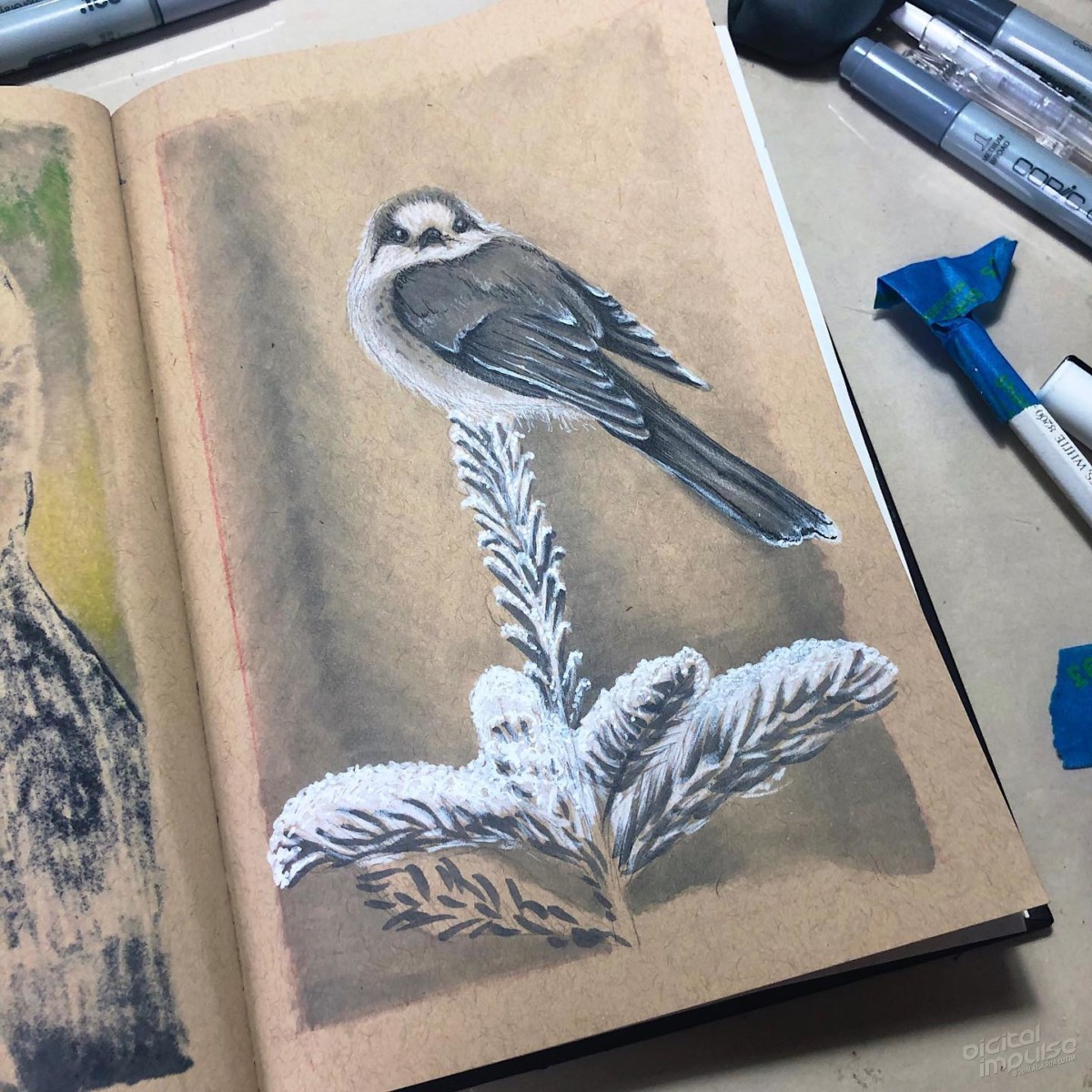 Canada Jay - 03 preview image