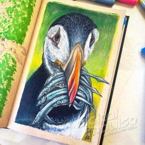 Puffin With A Beakful Illustration Preview image