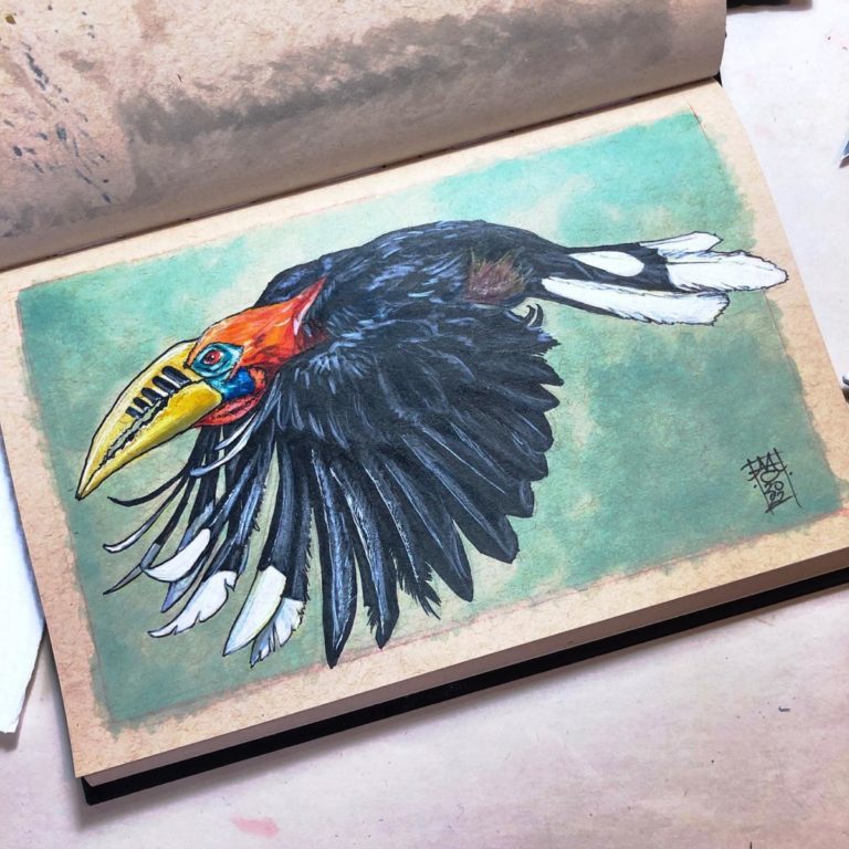 Rufous-Necked Hornbill Preview image