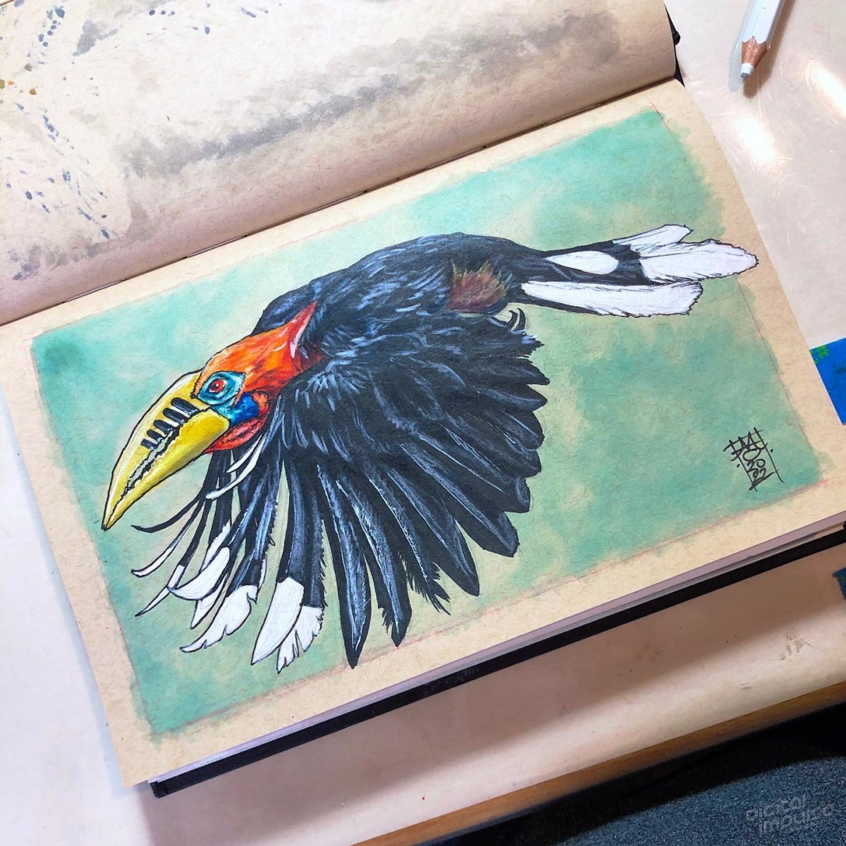 Rufous-Necked Hornbill - 02 Preview image