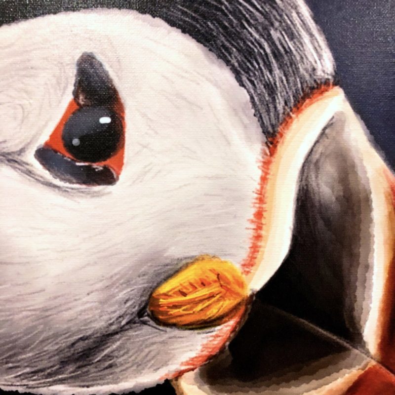 Puffin 30x45 Canvas Print Detail preview image