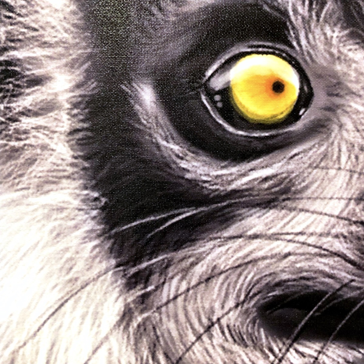 Black Lemur 50x75 Canvas Print Detail preview image