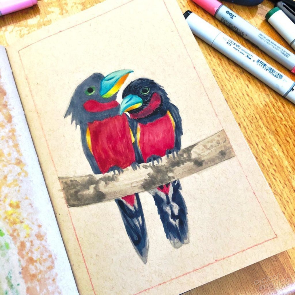 Black & Red Broadbill Illustration 01 - preview image