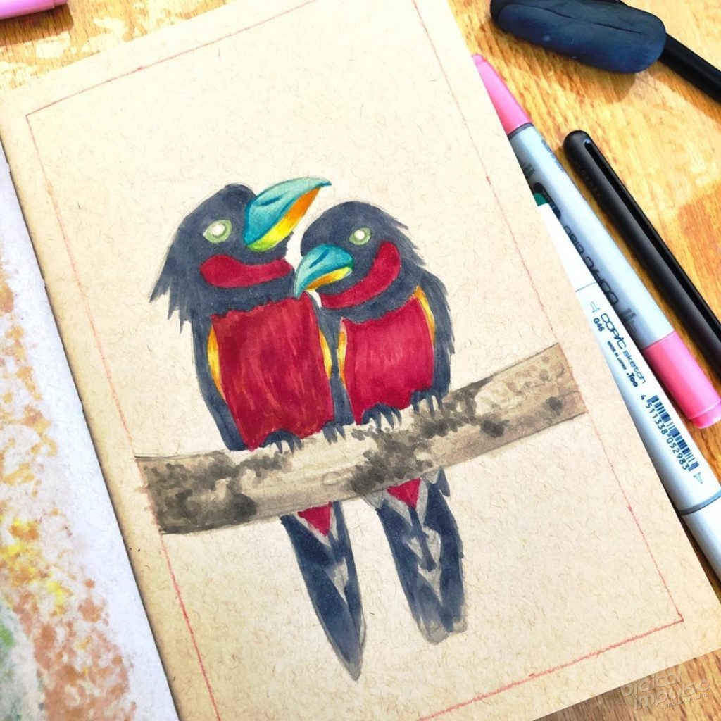 Black & Red Broadbill Illustration 02 - preview image